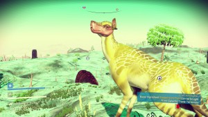 Feeding animal species.