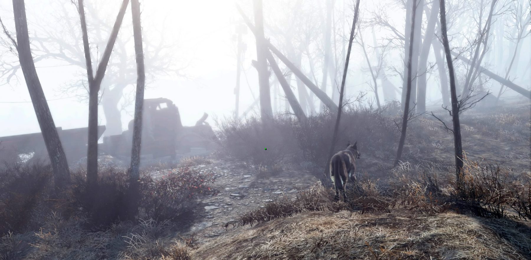 Fallout 4's natural world