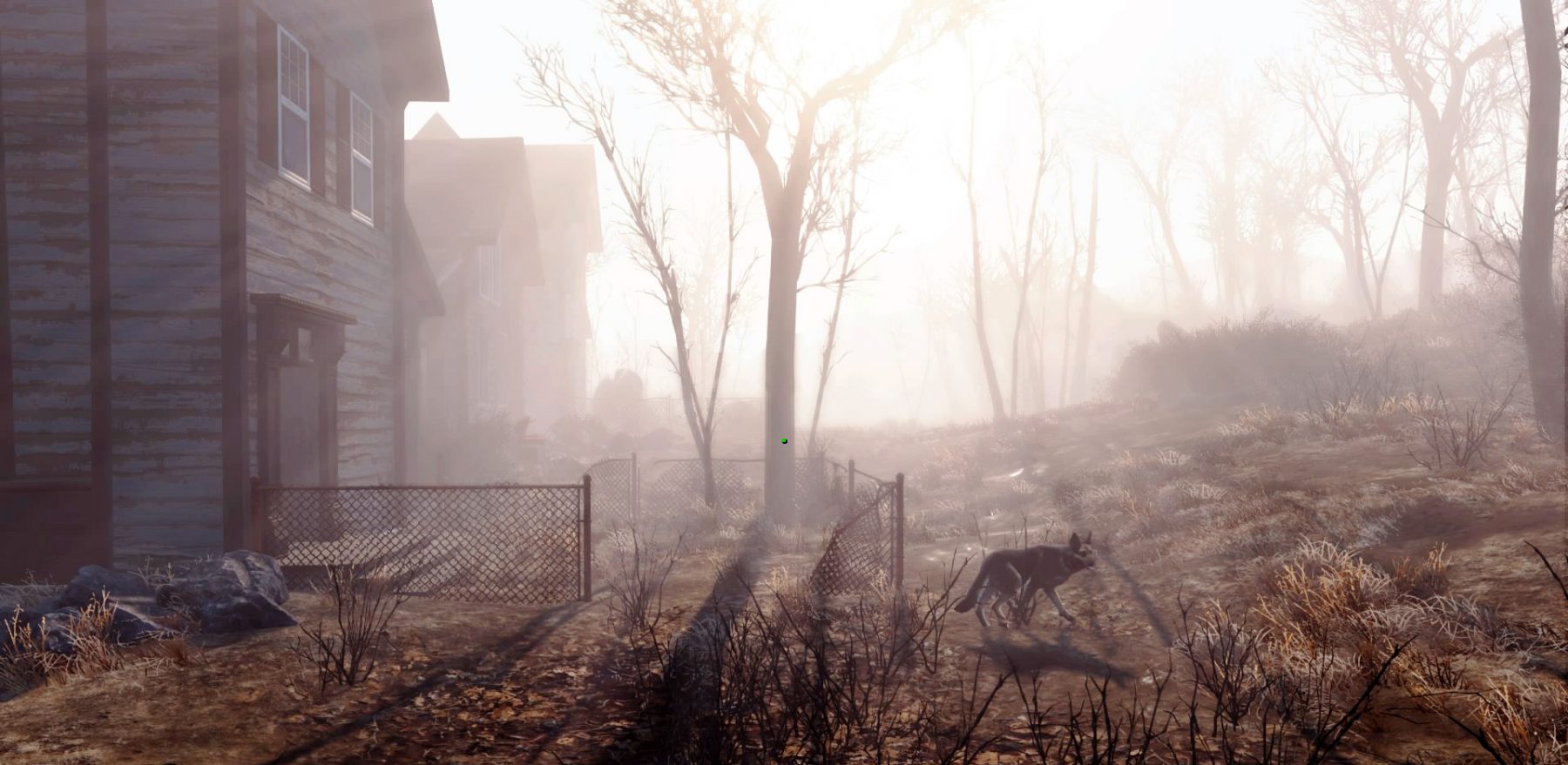 Fallout 4's natural world