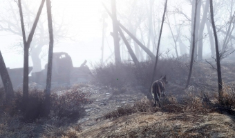 The lone wanderer and his dog (Dogmeat) explore the astounding beauty of the wasteland