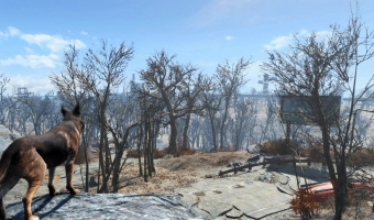 Fallout 4_20151120210052