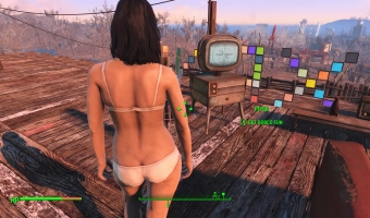 Fallout 4_20151225124311